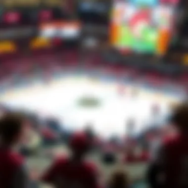 Understanding Sports Betting: A Focus on the Arizona Coyotes Summary Understanding Sports Betting: A Focus on the Arizona Coyotes Summary